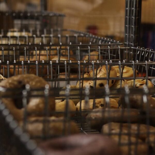 Ozark Mountain Bagel Co. Ozark Mountain Bagel Co.